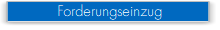 Forderungseinzug
